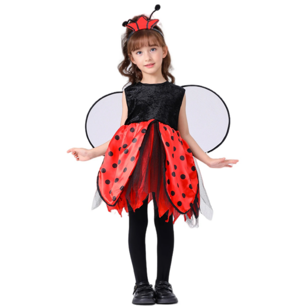 Childrens Ladybird Costume